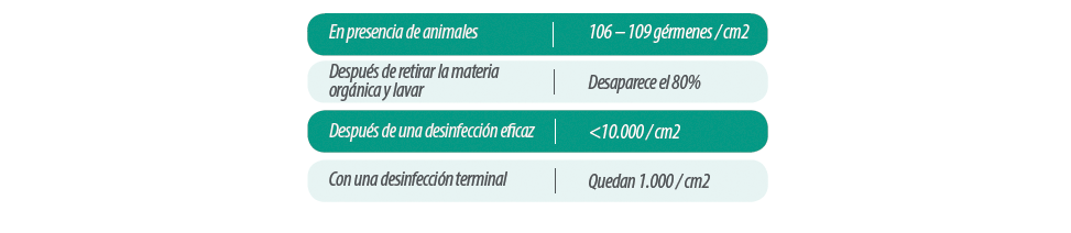 tabla-1bbzix