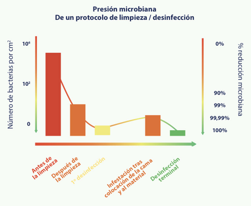 medio02-grafica