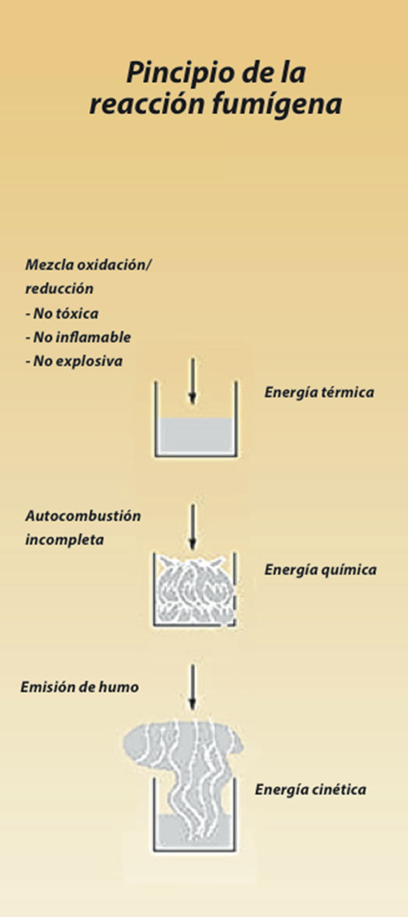 medio03-esquema1