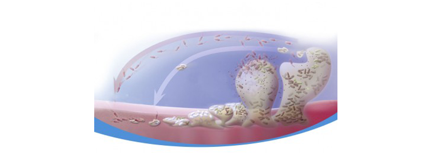 Biofil-bioplagen.png