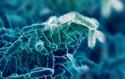 biofilm-tuberias-bioseguridad-409x258.jpg