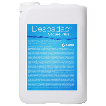 Despadac-Secure-1.png