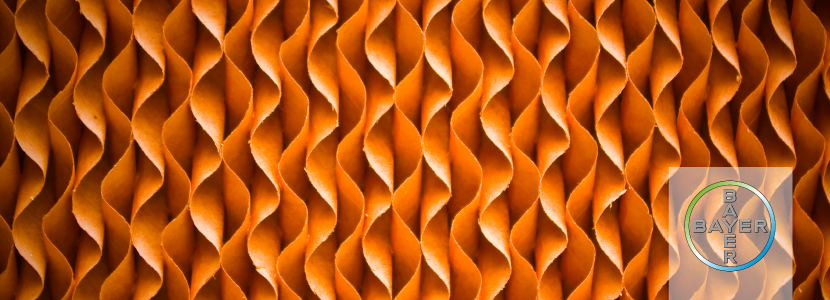 cooling-higiene.png