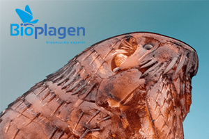 Pulgas-bioplagen.png