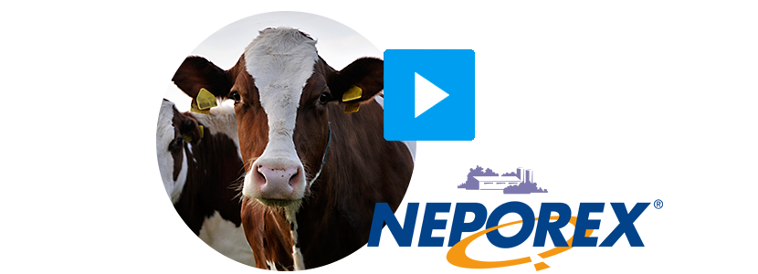 Neporex-elanco-rumiantes.png