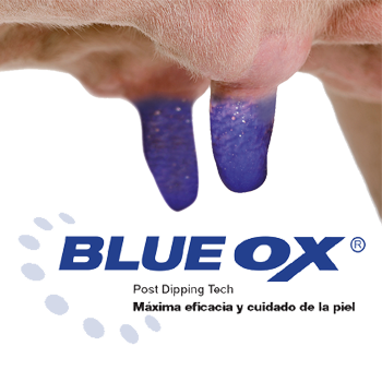 Blue-OX.png