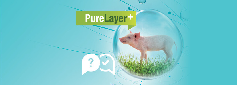 QLAYER-Entrevista.jpg