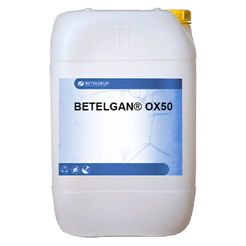 Betelgan-1.png