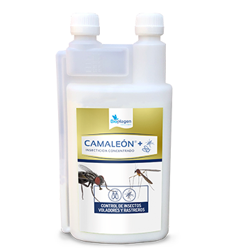 camaleon-2.png