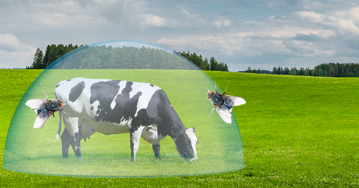 La importancia del control de moscas