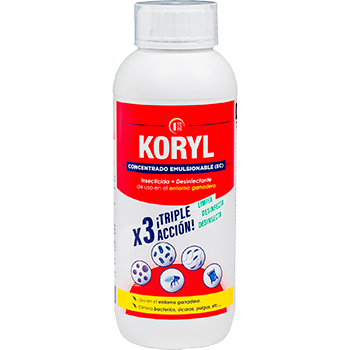 koryl-cabezal.png