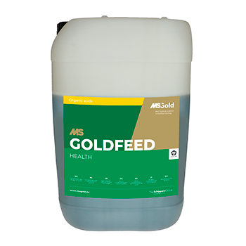MS-Goldfeed-Health.png