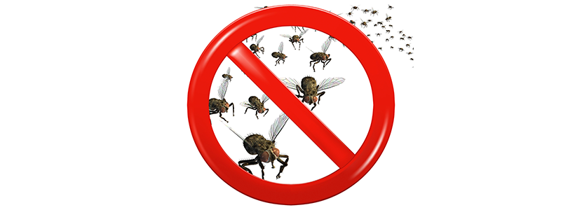 control-moscas-cabezal-1.png