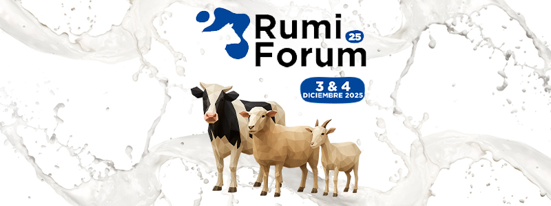 RumiForum25.jpg