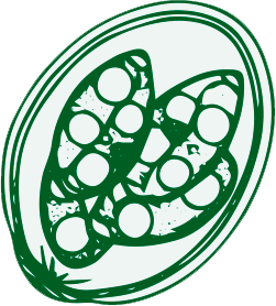 coccidios