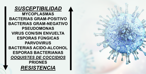 coccidios