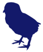 pajaro