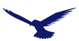 pajaro