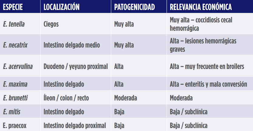 tabla